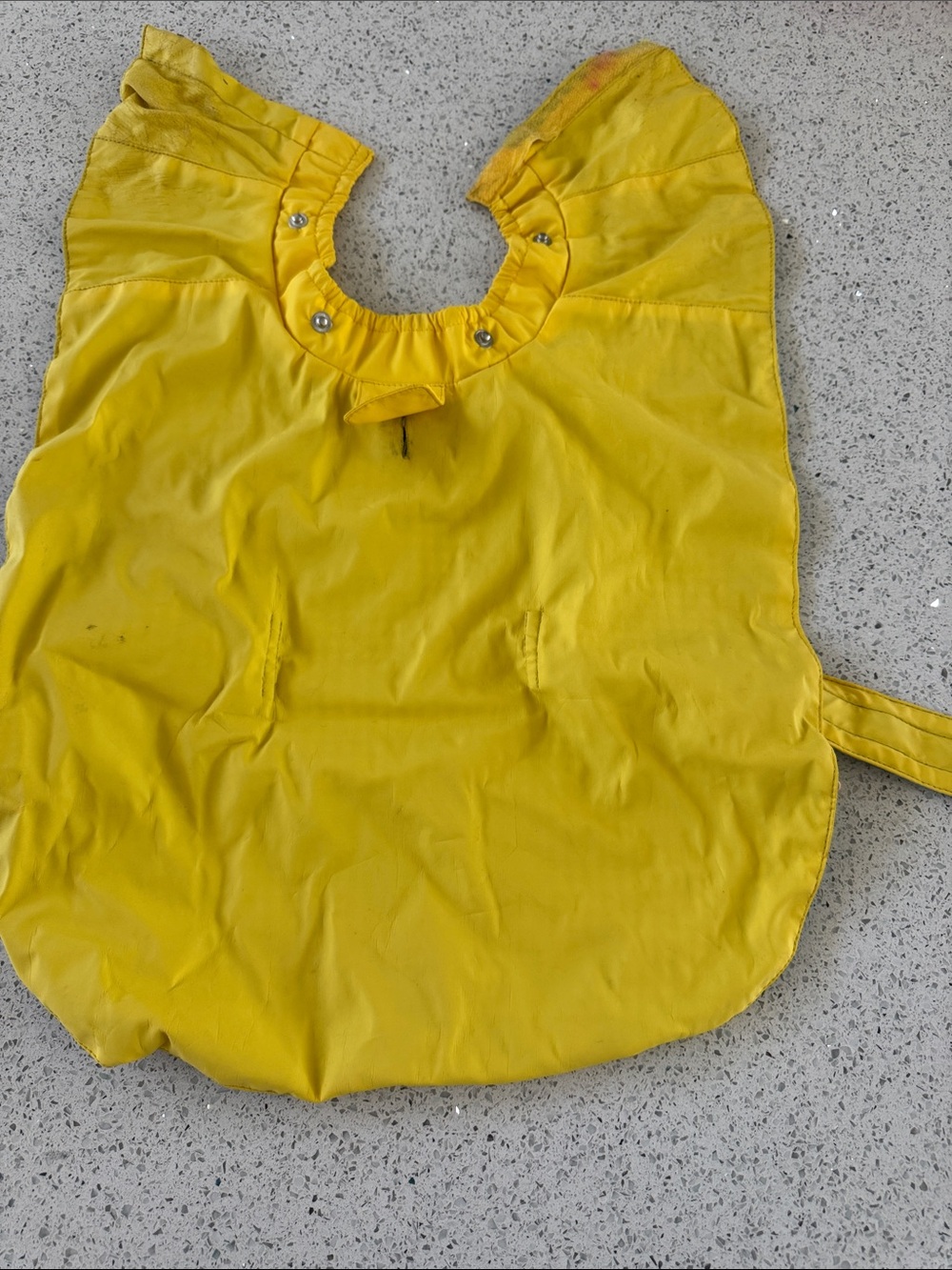 Martha Stewart Yellow exterior and Aqua Gingham lining  dog raincoat.